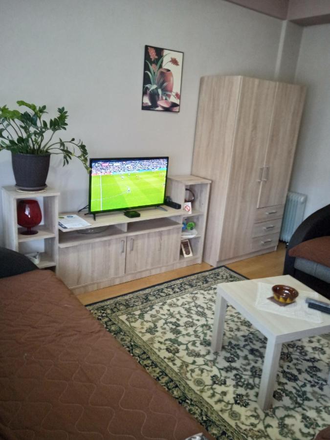 Apartman Nikolic Бор Экстерьер фото